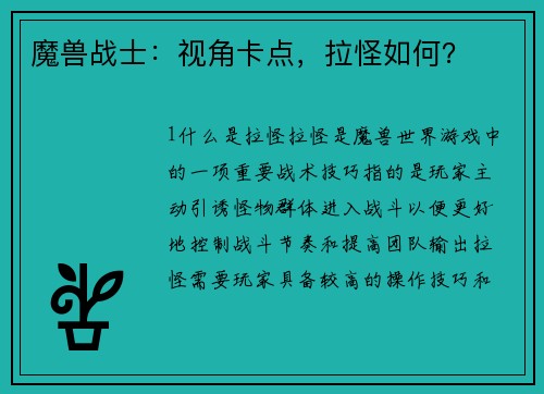 魔兽战士：视角卡点，拉怪如何？